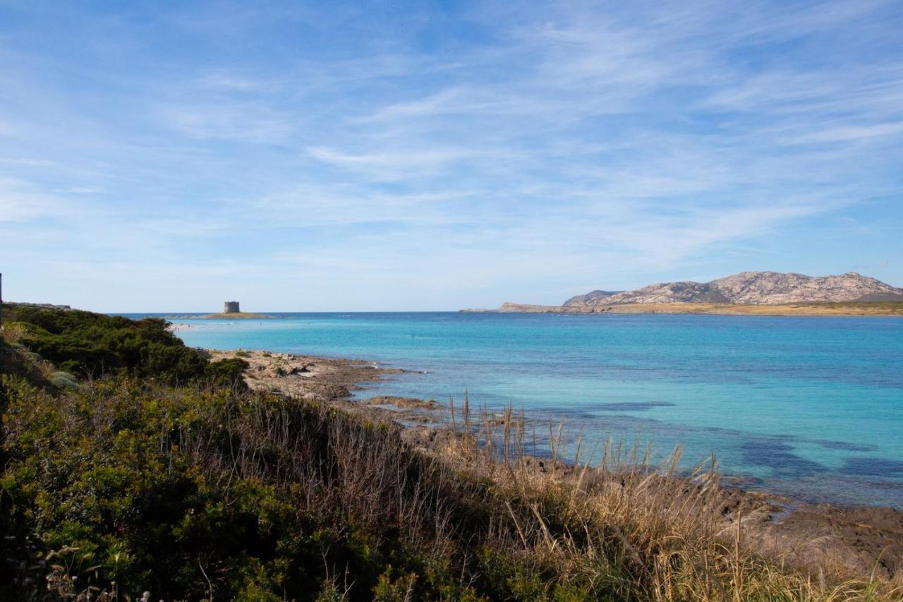 Panorama Sul Mare Villa Stintino Buitenkant foto
